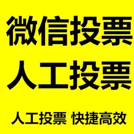 南投县投票活动拉票能被查出来吗？如何操作能不被发现？